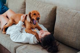 Does your dog give you a hero's welcome when you come home?
