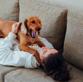 Does your dog give you a hero's welcome when you come home?