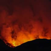 A wildfire burns on the Isle of Bute in Colintraive. Picture: Jeff J Mitchell/Getty Images