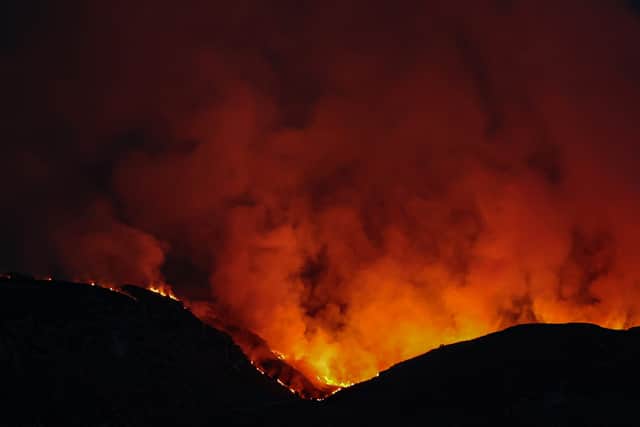 A wildfire burns in Argyll and Bute. Picture: Jeff J Mitchell/Getty Images