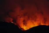 A wildfire burns on the Isle of Bute in Colintraive. Picture: Jeff J Mitchell/Getty Images