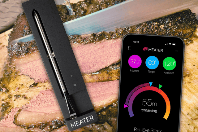 The MEATER SE wireless meat probe