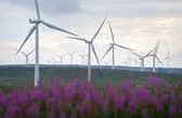 Electricity bills do not reflect the relatively cheap cost of energy produced by windfarms like Whitelees, near Eaglesham (Picture: Andrew Milligan)