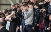 Hearts fans react as they crash out of the top six.