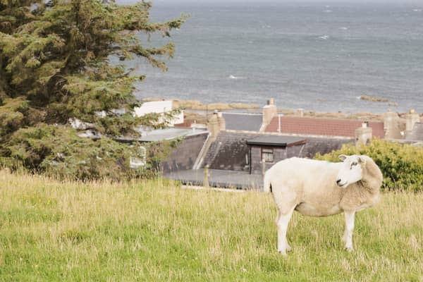 The Scottish Highlands is one of the best places in the UK for over-50s to live.