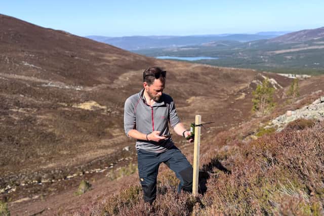 Adam Fraser from the Cairngorms National Park Authority installs an acoustic monitoring device in Coire na Ciste as part of a long-term effort to study changes in birdlife as the woodland takes root.