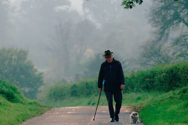 A walk, at average or brisk speed, can significantly reduce the chance of some heart conditions (Picture: Tim Graham)