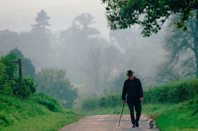 A walk, at average or brisk speed, can significantly reduce the chance of some heart conditions (Picture: Tim Graham)