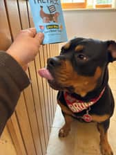 Bruce the dog proved to be a fan of cultivated or lab-grown meat and we humans should be too