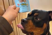 Bruce the dog proved to be a fan of cultivated or lab-grown meat and we humans should be too