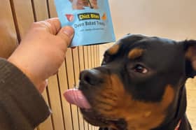 Bruce the dog proved to be a fan of cultivated or lab-grown meat and we humans should be too