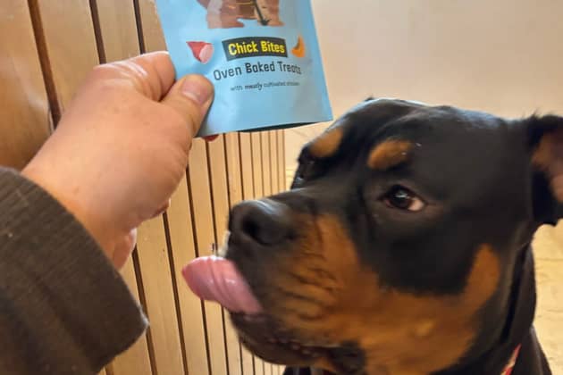 Bruce the dog proved to be a fan of cultivated or lab-grown meat and we humans should be too