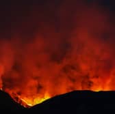 A wildfire a mile wide ravaged land at Colintraive on the Isle of Bute earlier this month (Picture: Jeff J Mitchell)