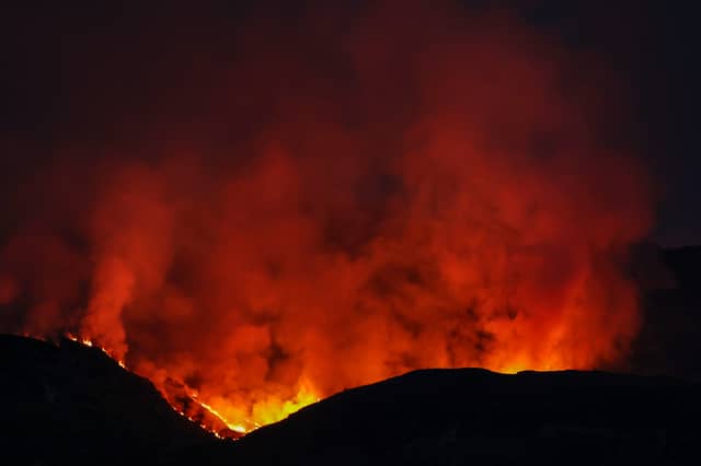 A wildfire a mile wide ravaged land at Colintraive on the Isle of Bute in April. (Picture: Jeff J Mitchell)