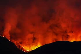 A wildfire a mile wide ravaged land at Colintraive on the Isle of Bute earlier this month (Picture: Jeff J Mitchell)