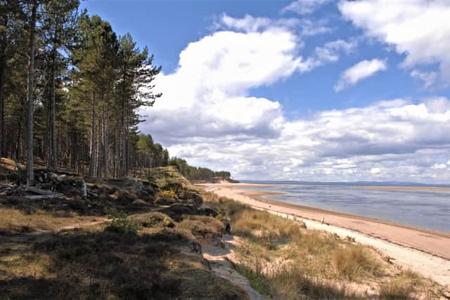 Culbin forest and Findhorn Bay on the Moray coast