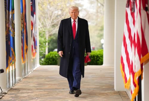 MPs and peers have called for Donald Trump to be blocked from addressing parliament when he visits the UK.