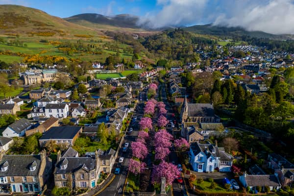 Colourful cherry blossom trees along Burnside in Dollar, Clackmannanshire. Picture: Katielee Arrowsmith/SWNS