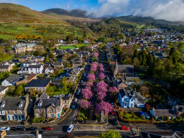 Colourful cherry blossom trees along Burnside in Dollar, Clackmannanshire. Picture: Katielee Arrowsmith/SWNS