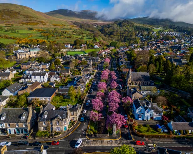 Colourful cherry blossom trees along Burnside in Dollar, Clackmannanshire. Picture: Katielee Arrowsmith/SWNS