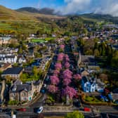 Colourful cherry blossom trees along Burnside in Dollar, Clackmannanshire. Picture: Katielee Arrowsmith/SWNS