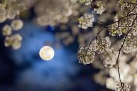 May's full moon is known as the Flower Moon.