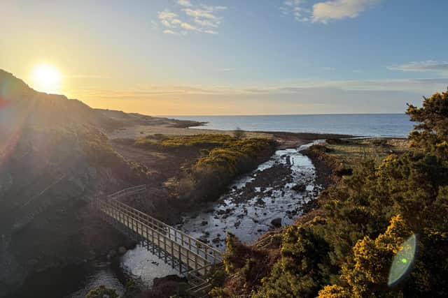 The  brand new bridge over the Loth Burn on the John o' Groats Trail 