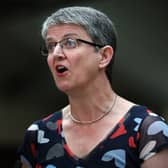 Scottish Green MSP Maggie Chapman has not apologised for her unjustified attack on the Supreme Court following its ruling about the definition of the word 'woman' (Picture: Jeff J Mitchell)