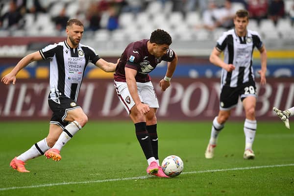 Che Adams bagged his first goal in over a month in a 2-0 win for Torino on Wednesday night. Cr: Getty Images.