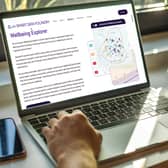 Wellbeing Explorer