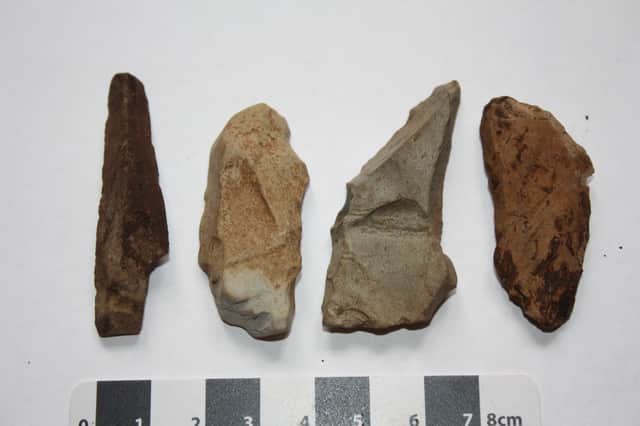 The stone tools found on Skye. PIC: Karen Hardy.