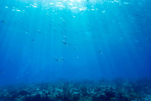 Global warming is affecting the oceans as well as the land and the consequences for humanity could be just as profound (Picture: Joseph Prezioso)