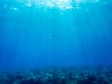 Global warming is affecting the oceans as well as the land and the consequences for humanity could be just as profound (Picture: Joseph Prezioso)