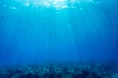 Global warming is affecting the oceans as well as the land and the consequences for humanity could be just as profound (Picture: Joseph Prezioso)