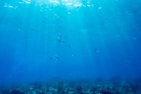 Global warming is affecting the oceans as well as the land and the consequences for humanity could be just as profound (Picture: Joseph Prezioso)