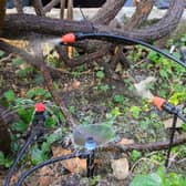 Automatic irrigation systems allow you to enjoy your garden without having to water it yourself