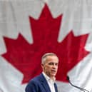 Canada's Prime Minister Mark Carney won the recent election after promising to stand up to Donald Trump (Picture: Rich Lam)
