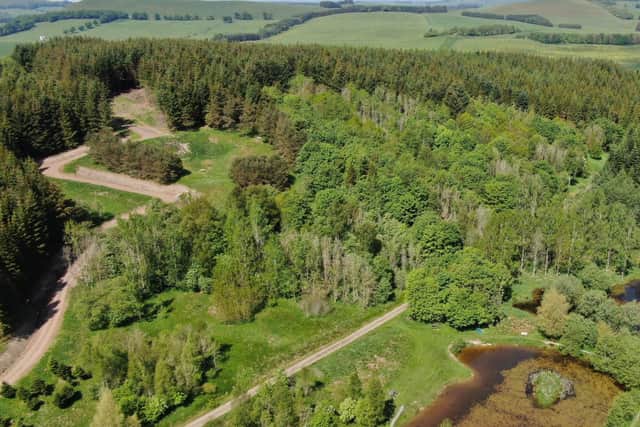 Broughtonknowe woodland has been purchased by a local group following a successful community buyout 