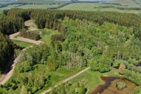 Broughtonknowe woodland has been purchased by a local community group 