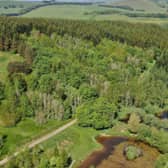 Broughtonknowe woodland has been purchased by a local community group 