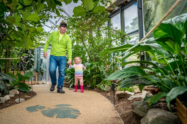 Butterfly World is an oasis of calm in the adventure park