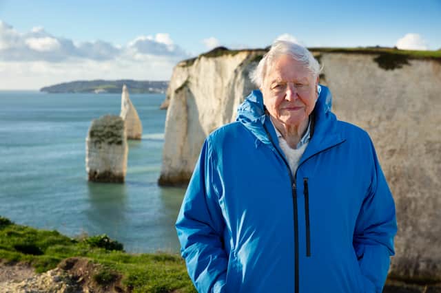 Ocean With David Attenborough  