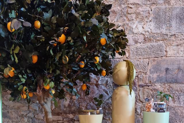 The botanical displays at the Edinburgh Gin distillery