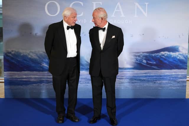 David Attenborough pictured with King Charles at the premiere of his new film, Ocean with David Attenborough (Picture: Alistair Grant)