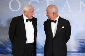 David Attenborough pictured with King Charles at the premiere of his new film, Ocean with David Attenborough (Picture: Alistair Grant)