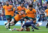 Sione Tuipulotu knows the Wallabies will be out to pounce on the Lions.