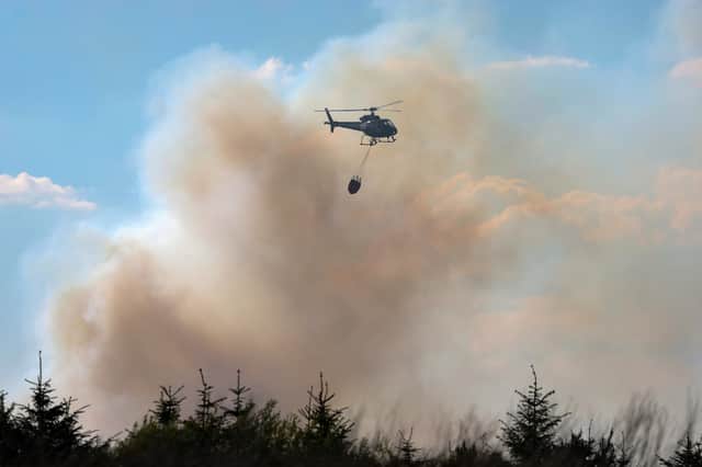 A helicopter tackles a wildfire in a wooded area near Fauldohouse, West Lothian on Saturday.  (Photo by Jeff J Mitchell/Getty Images)
