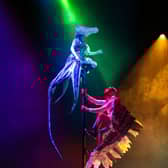 The Unlikely Friendship of Feather Boy and Tentacle Girl