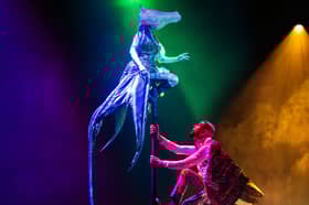 The Unlikely Friendship of Feather Boy and Tentacle Girl