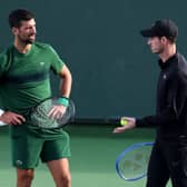 Andy Murray, right, and Novak Djokovic have ended their coaching partnership.